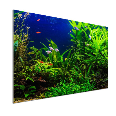 Salpicadero para cocina Peces en el acuario