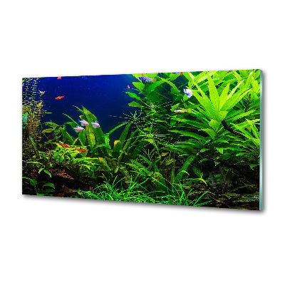 Salpicadero para cocina Peces en el acuario