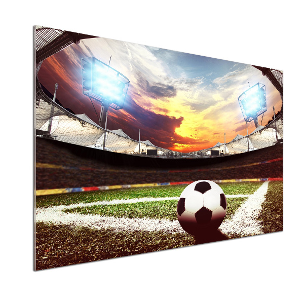 Panel antisalpicaduras Pelota en el estadio