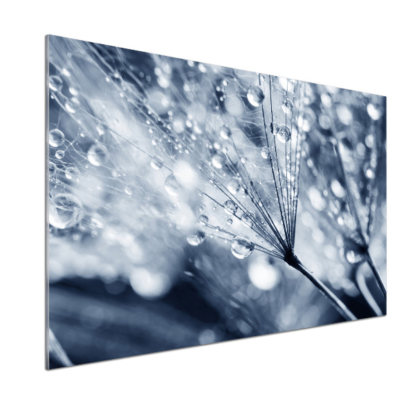 Panel antisalpicaduras semillas de diente de león