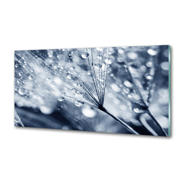 Panel antisalpicaduras semillas de diente de león