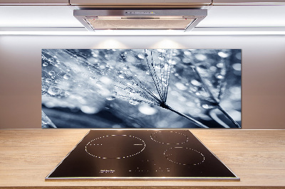 Panel antisalpicaduras semillas de diente de león