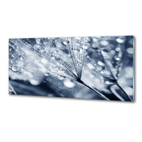 Panel antisalpicaduras semillas de diente de león