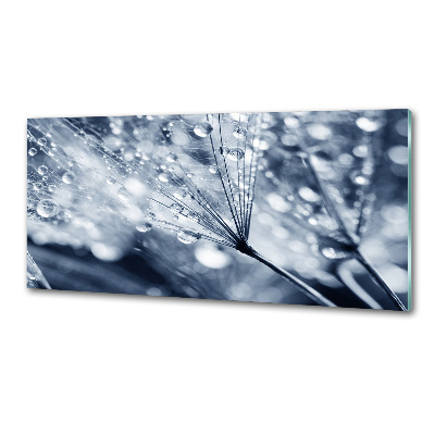 Panel antisalpicaduras semillas de diente de león