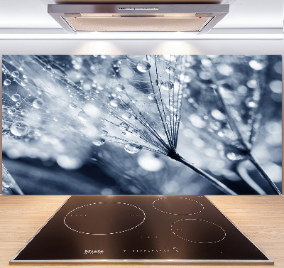 Panel antisalpicaduras semillas de diente de león