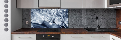 Panel antisalpicaduras semillas de diente de león