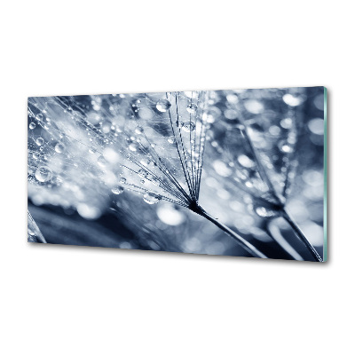 Panel antisalpicaduras semillas de diente de león