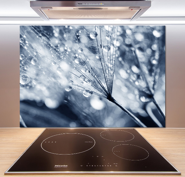 Panel antisalpicaduras semillas de diente de león