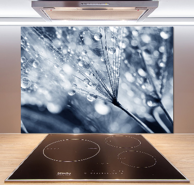 Panel antisalpicaduras semillas de diente de león