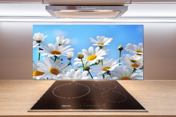 Panel para cocina margaritas