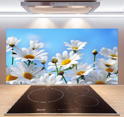 Panel para cocina margaritas