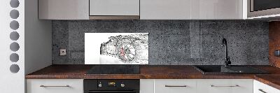 Panel antisalpicaduras malla de coche