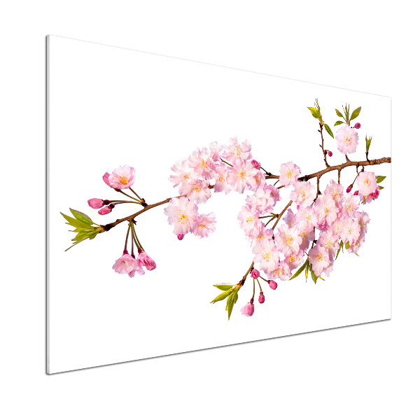 Panel para cocina Brezo