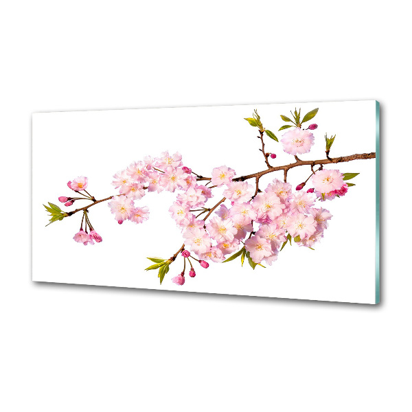 Panel para cocina Brezo