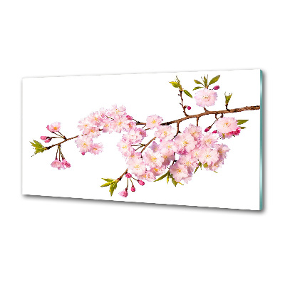 Panel para cocina Brezo