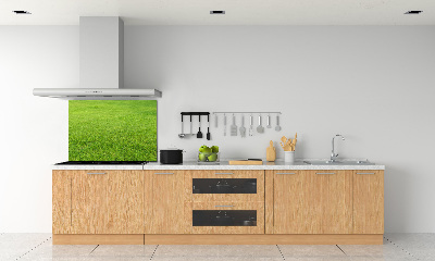 Panel para cocina Hierba verde