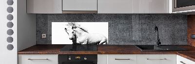 Panel antisalpicaduras Caballo blanco