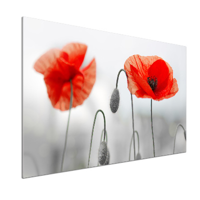 Panel de pared de cocina Amapolas