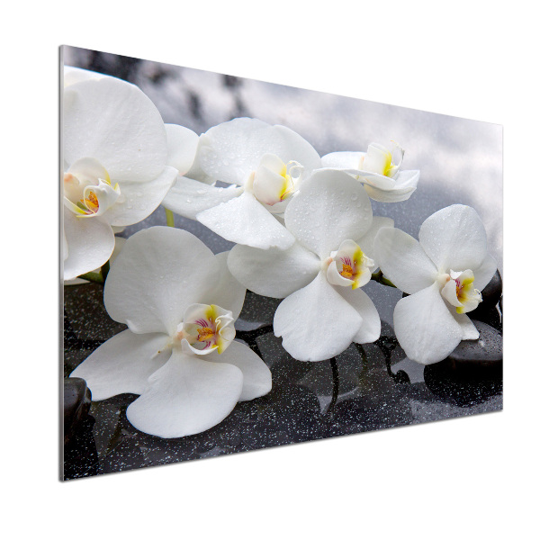 Panel antisalpicaduras Orquídea