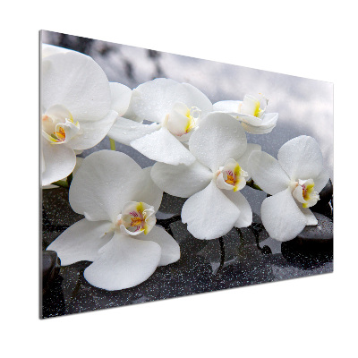 Panel antisalpicaduras Orquídea