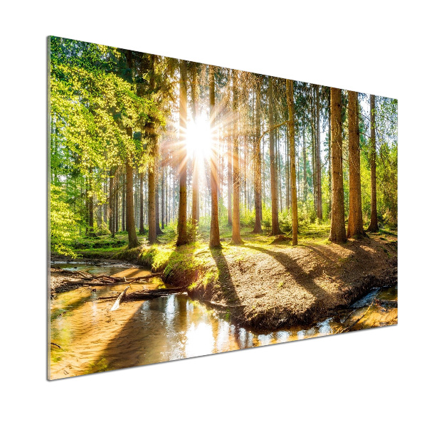 Panel dekor szkło Panorama las