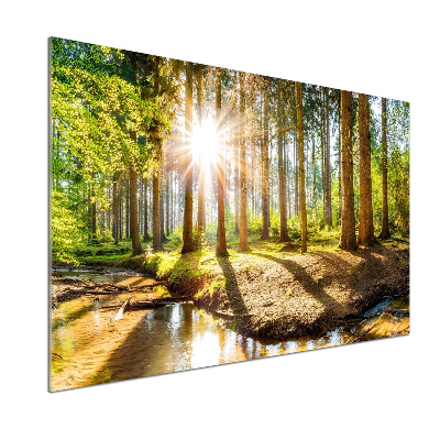 Panel antisalpicaduras Panorama del bosque