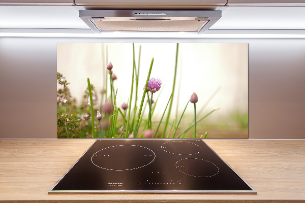 Panel de pared de cocina Cebollino