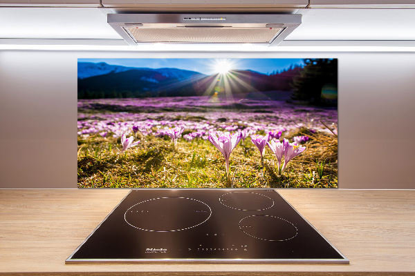 Panel para cocina Azafranes en el claro