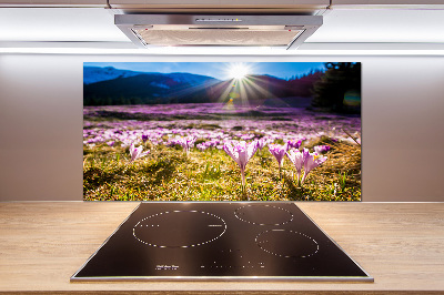 Panel para cocina Azafranes en el claro