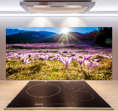 Panel para cocina Azafranes en el claro