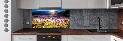 Panel para cocina Azafranes en el claro