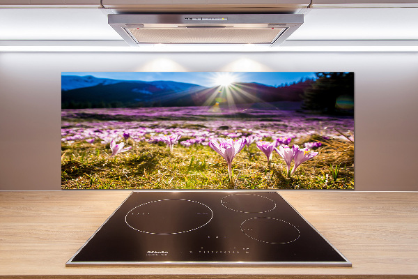 Panel para cocina Azafranes en el claro