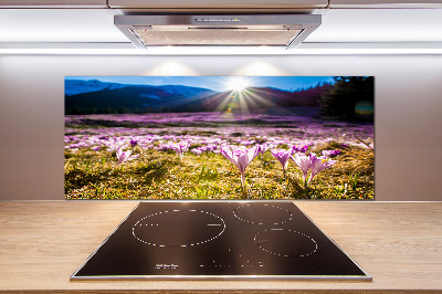 Panel para cocina Azafranes en el claro