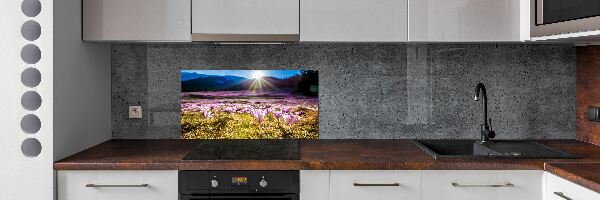 Panel do kuchni Krokusy na polanie