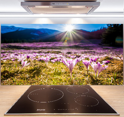 Panel para cocina Azafranes en el claro