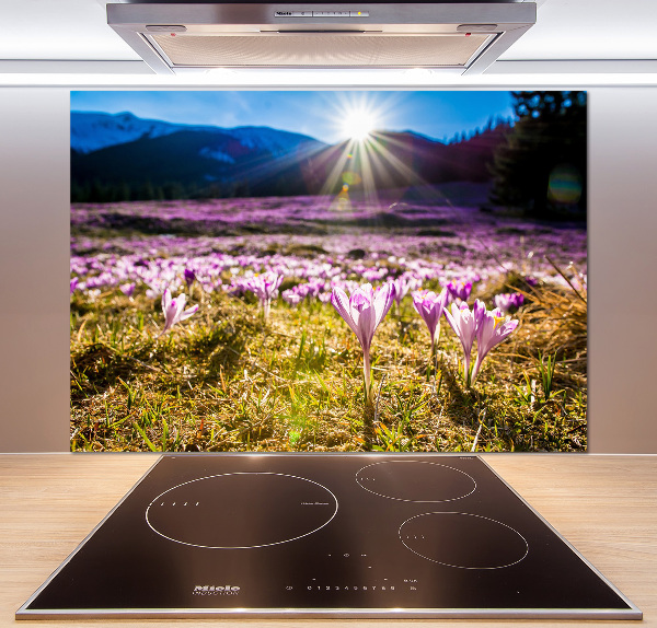 Panel para cocina Azafranes en el claro