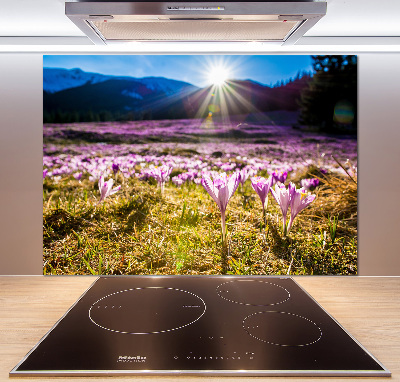 Panel do kuchni Krokusy na polanie