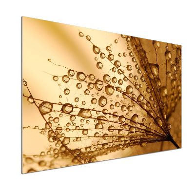 Panel para cocina semillas de diente de león