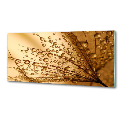 Panel para cocina semillas de diente de león