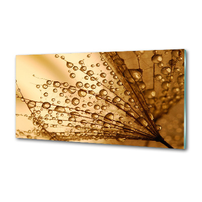 Panel para cocina semillas de diente de león