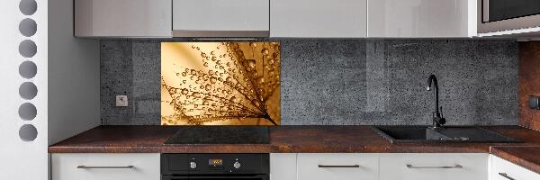 Panel para cocina semillas de diente de león