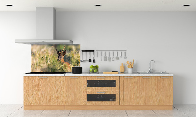 Panel de pared de cocina Ciervos en el campo