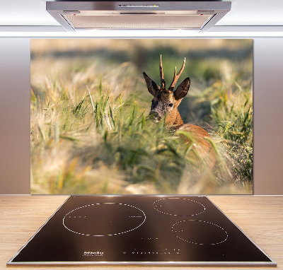 Panel de pared de cocina Ciervos en el campo