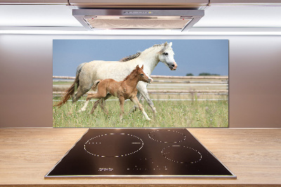 Salpicadero de cocina Yegua con potro