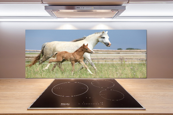 Salpicadero de cocina Yegua con potro