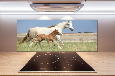 Salpicadero de cocina Yegua con potro