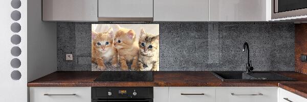 Panel antisalpicaduras Pequeños gatos