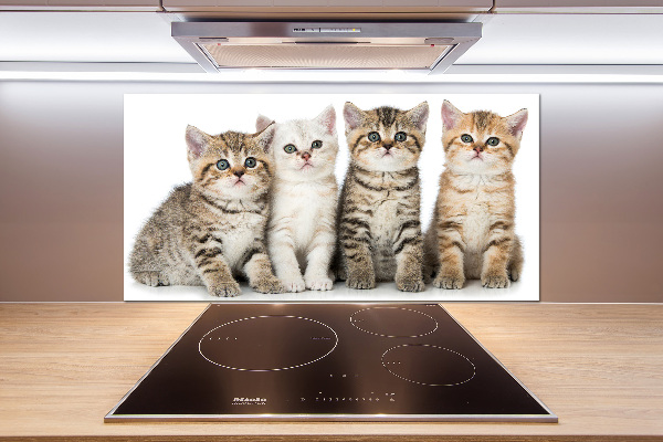 Panel para cocina Pequeños gatos