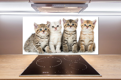 Panel para cocina Pequeños gatos