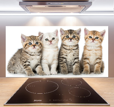 Panel para cocina Pequeños gatos